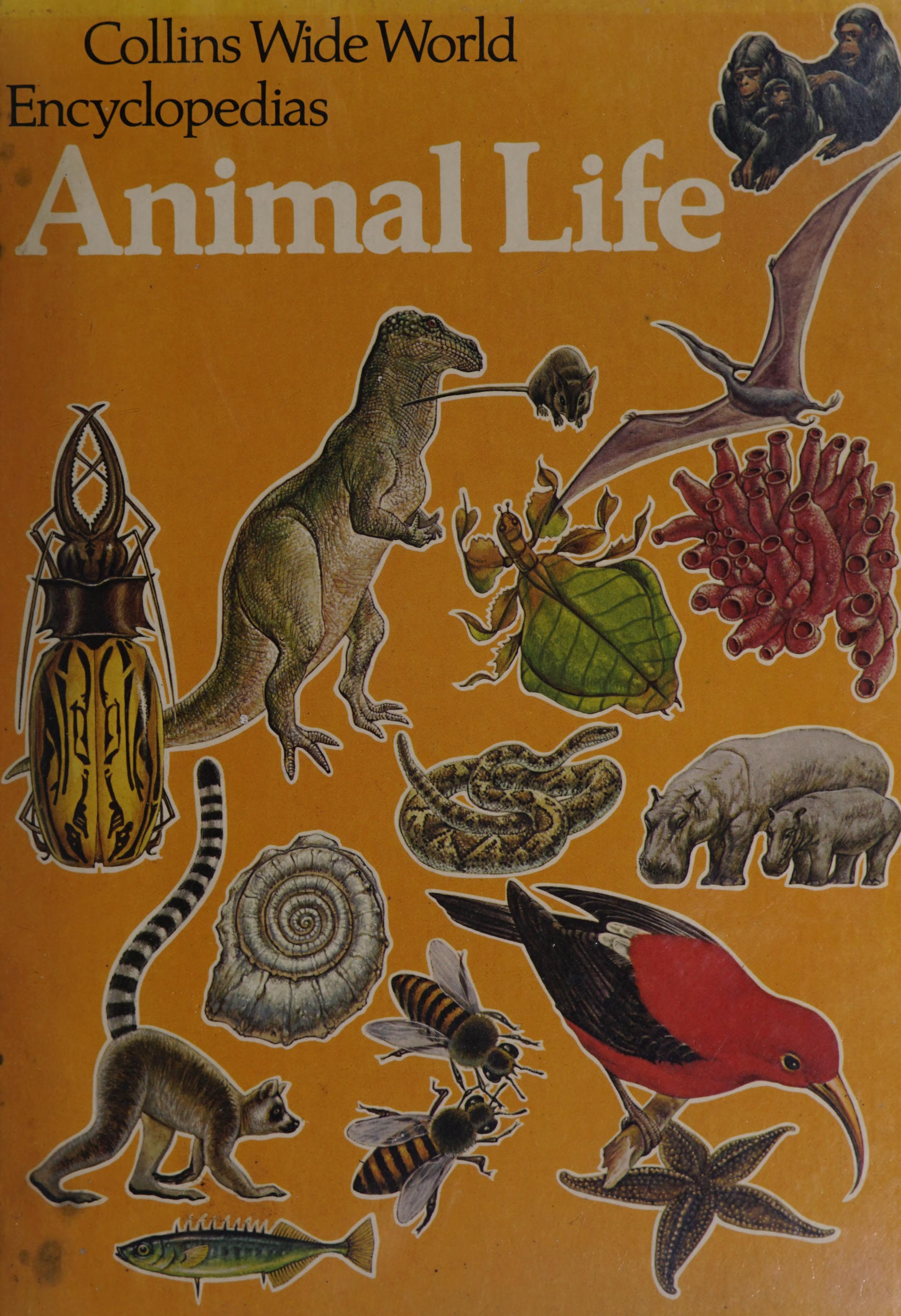 Animal life