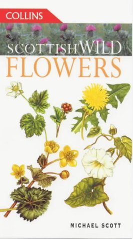 Scottish Wild Flowers