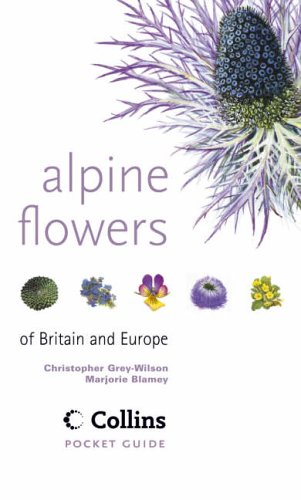 Alpine Flowers