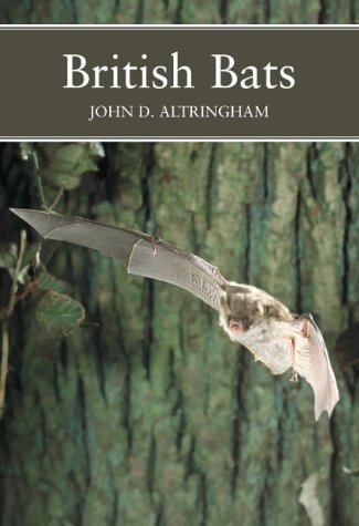 British Bats