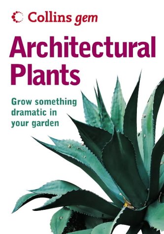 Collins Gem - Architectural Plants