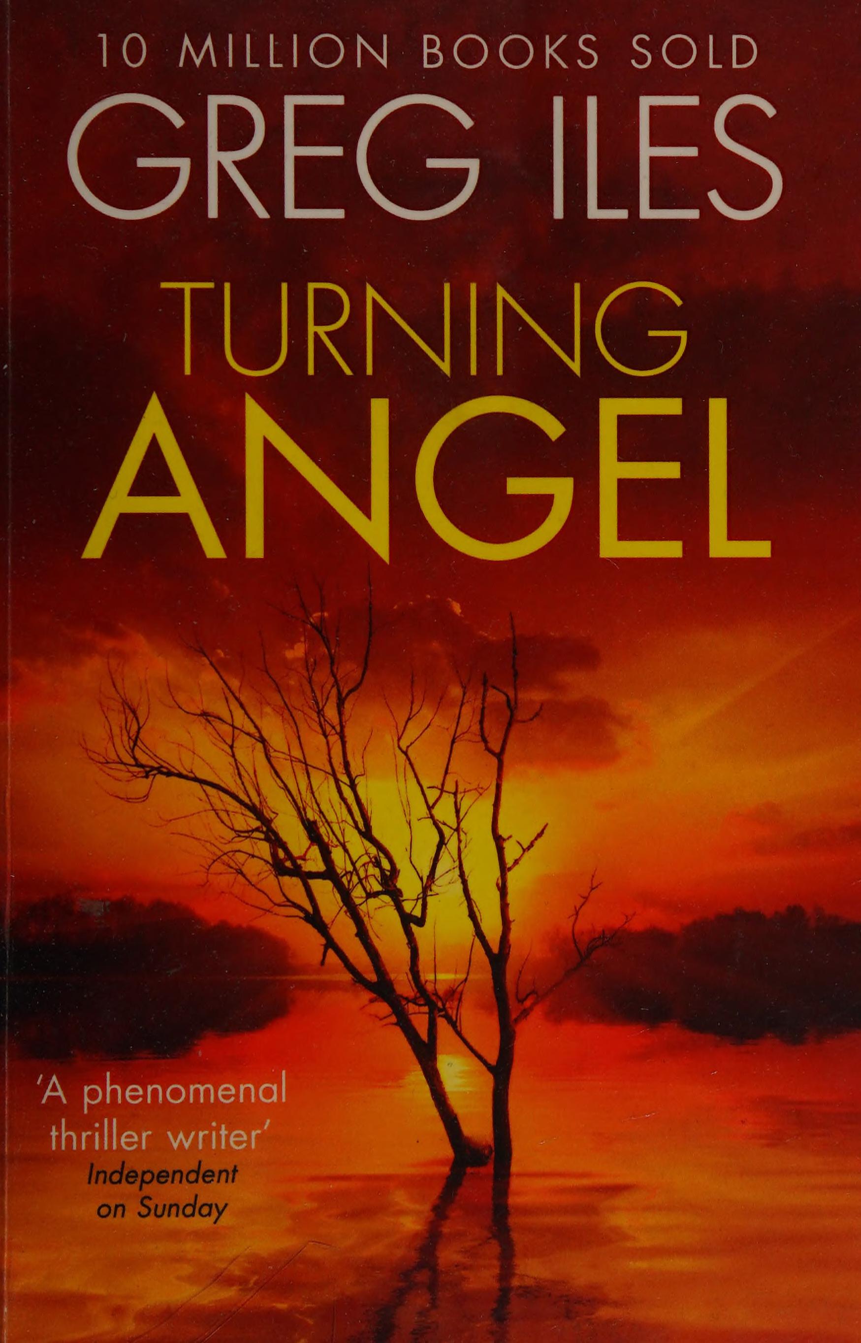 TURNING ANGEL PB