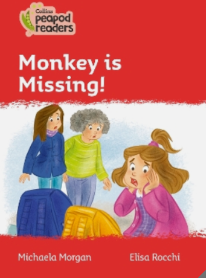 Monkey Is Missing!