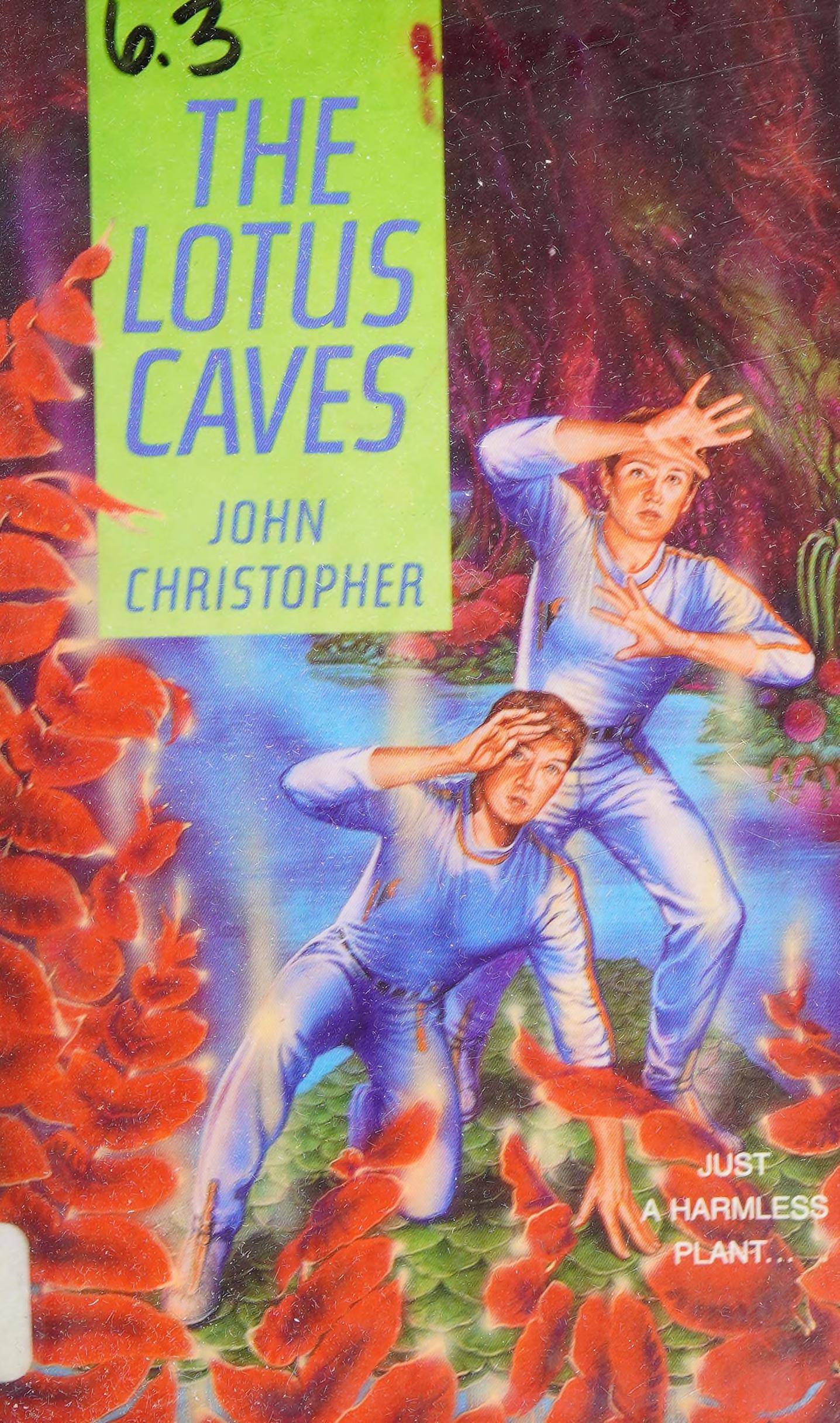 Lotus Caves