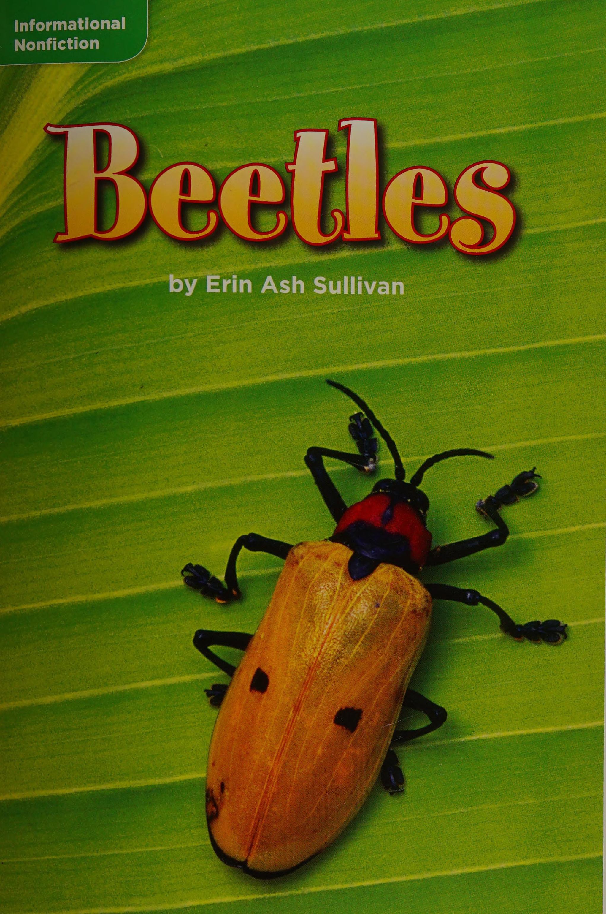 Beetles