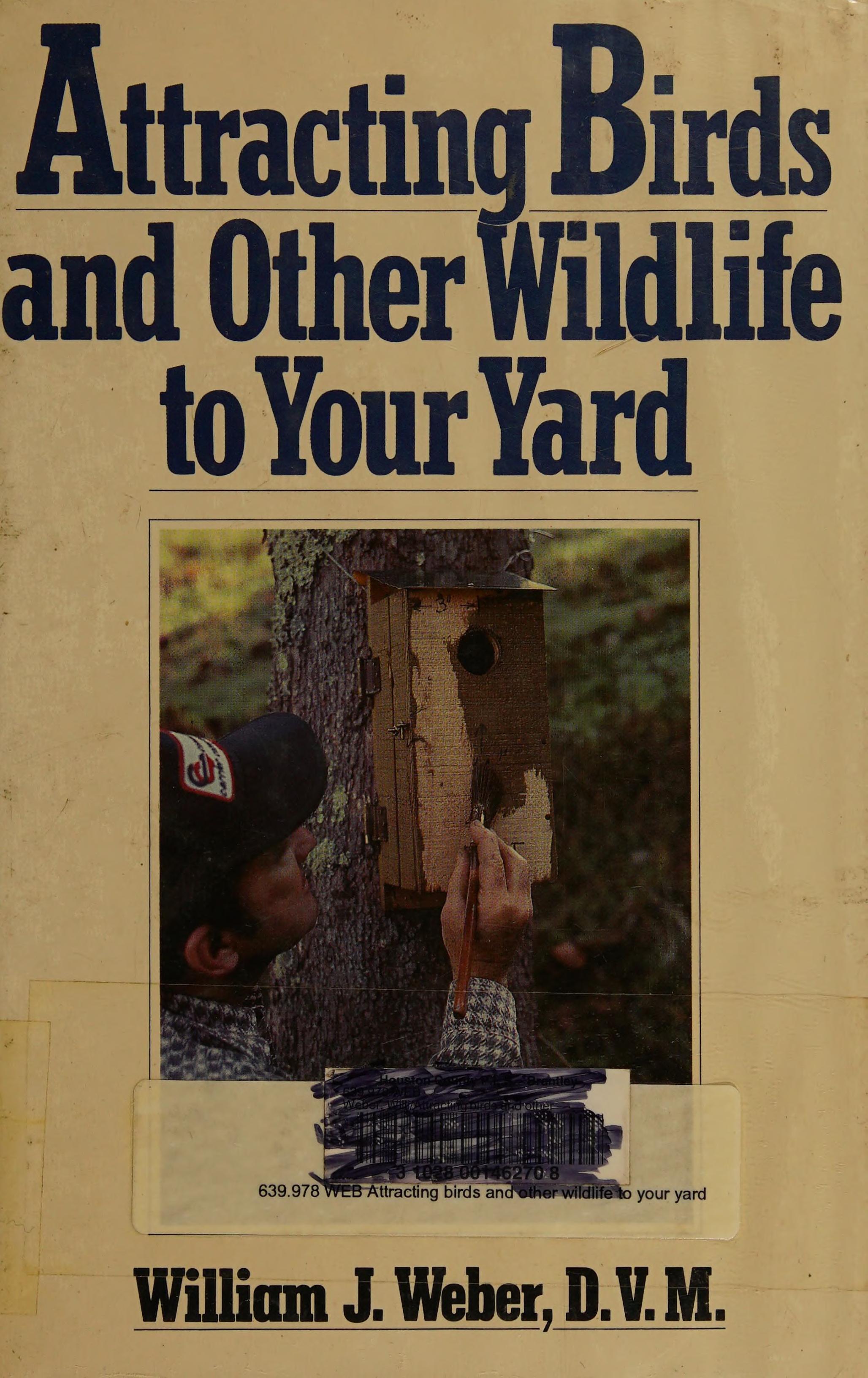 Attracting Birds and Other Wildlife to Your Yard