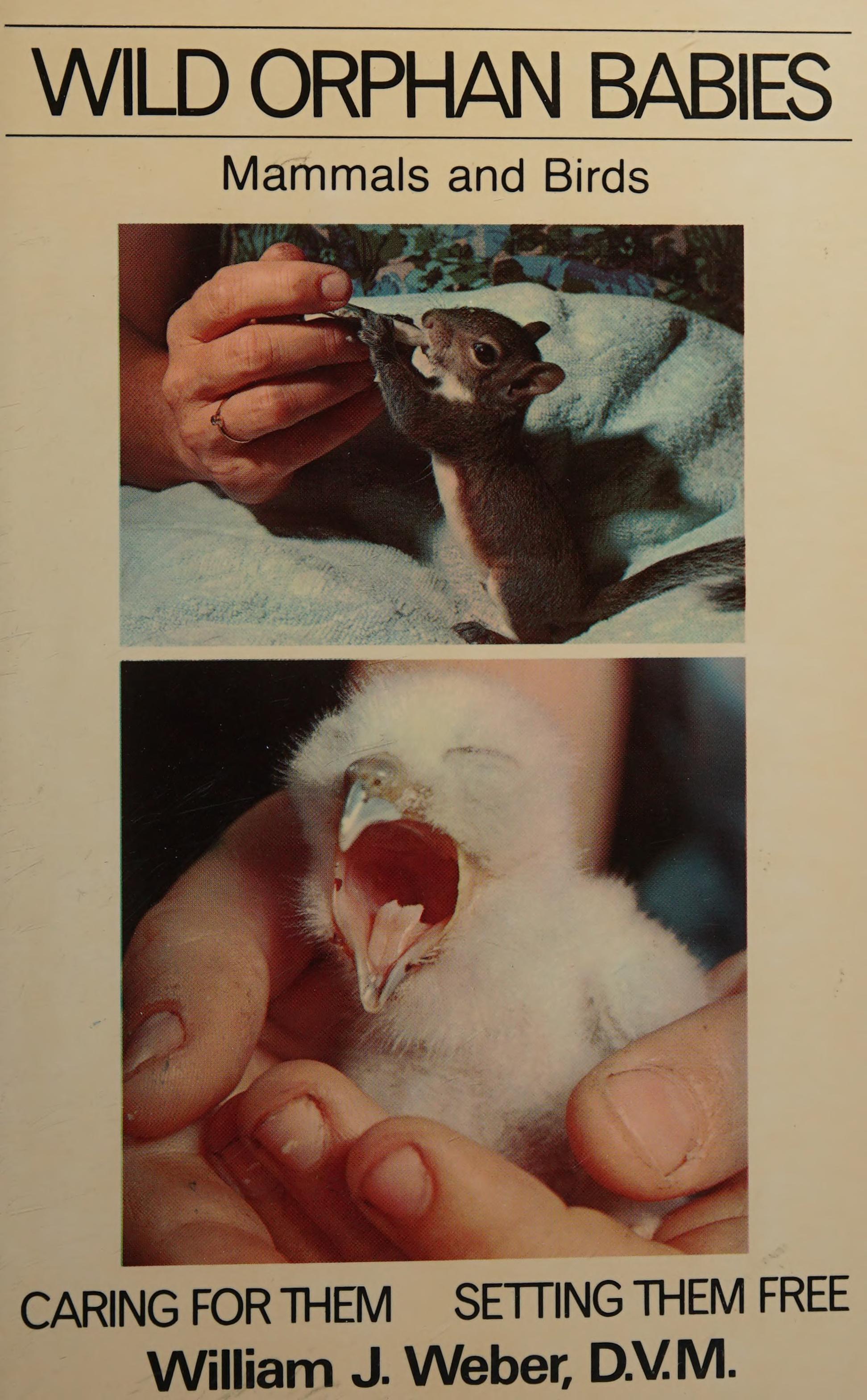 Wild Orphan Babies: Mammals and Birds: Caring for Them and Setting Them Free