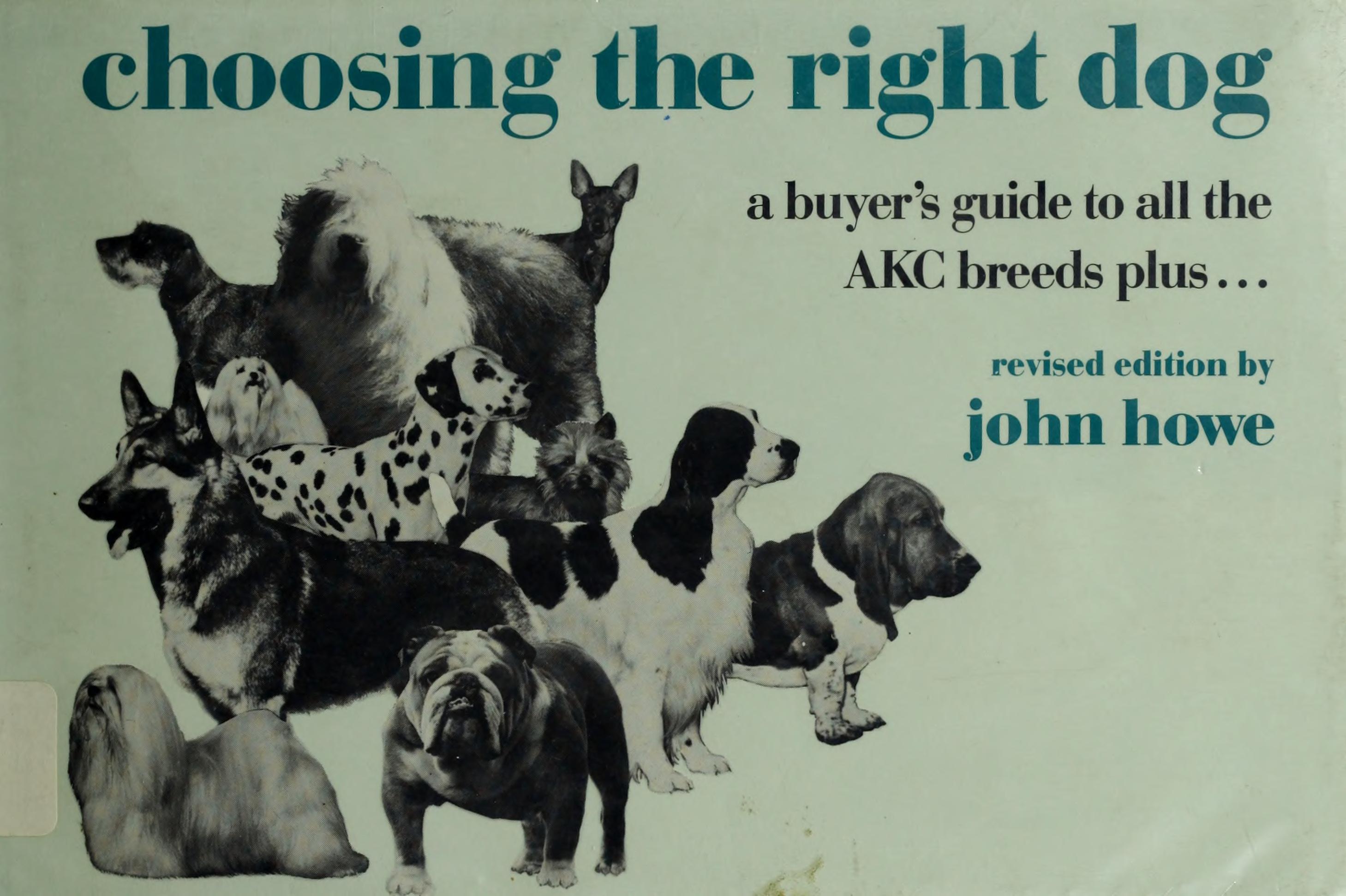 Choosing the Right Dog