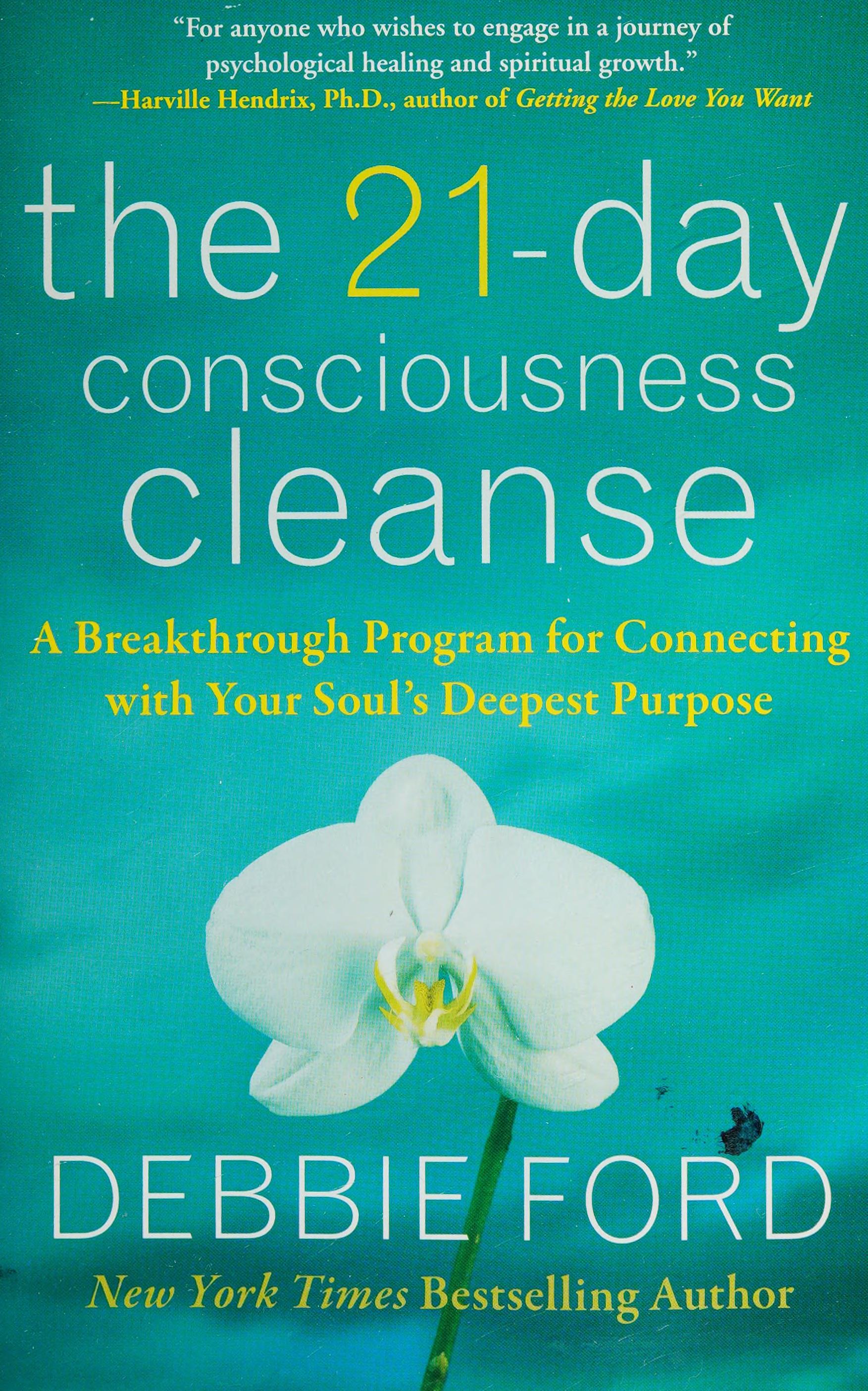 The 21-Day Consciousness Cleanse