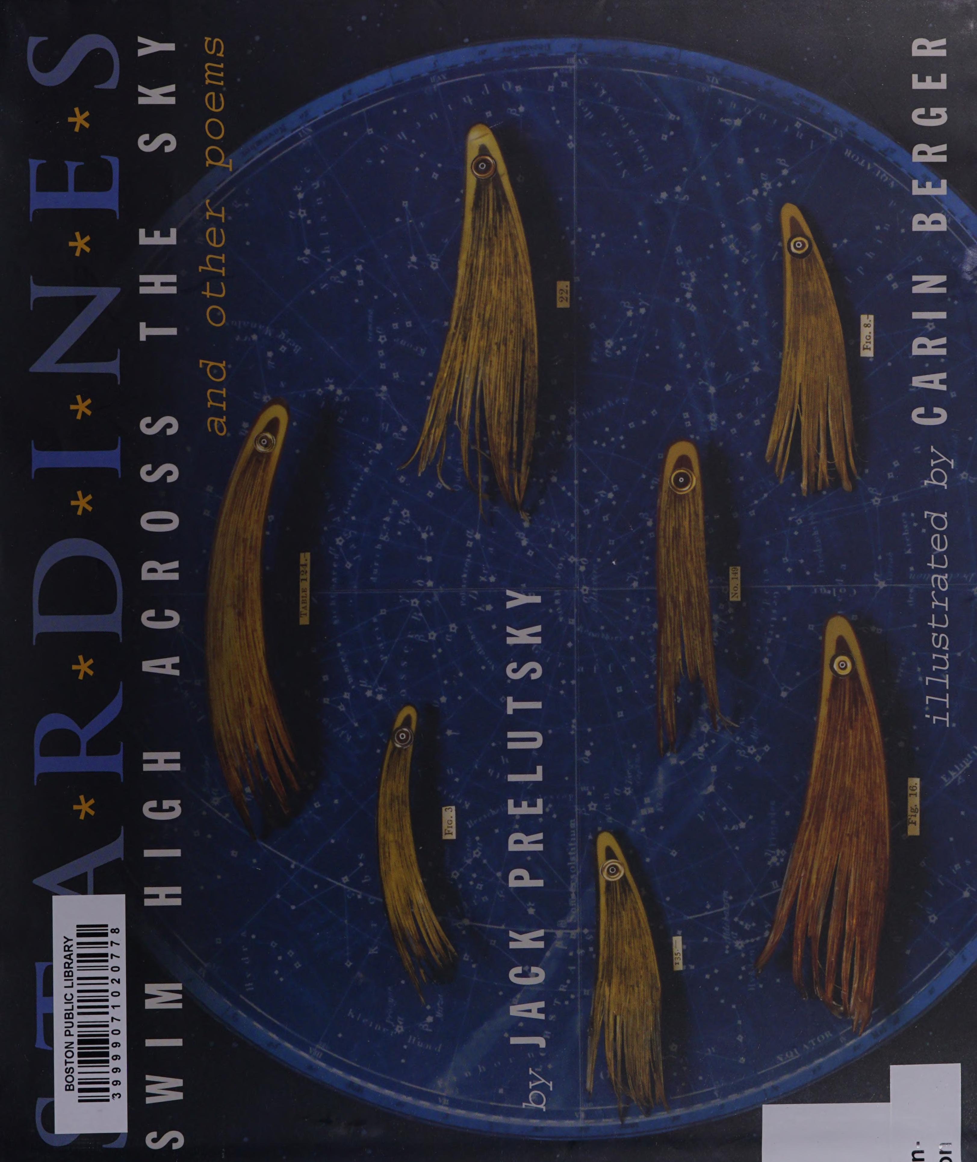 Stardines Swim High Across the Sky
