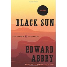 Black Sun