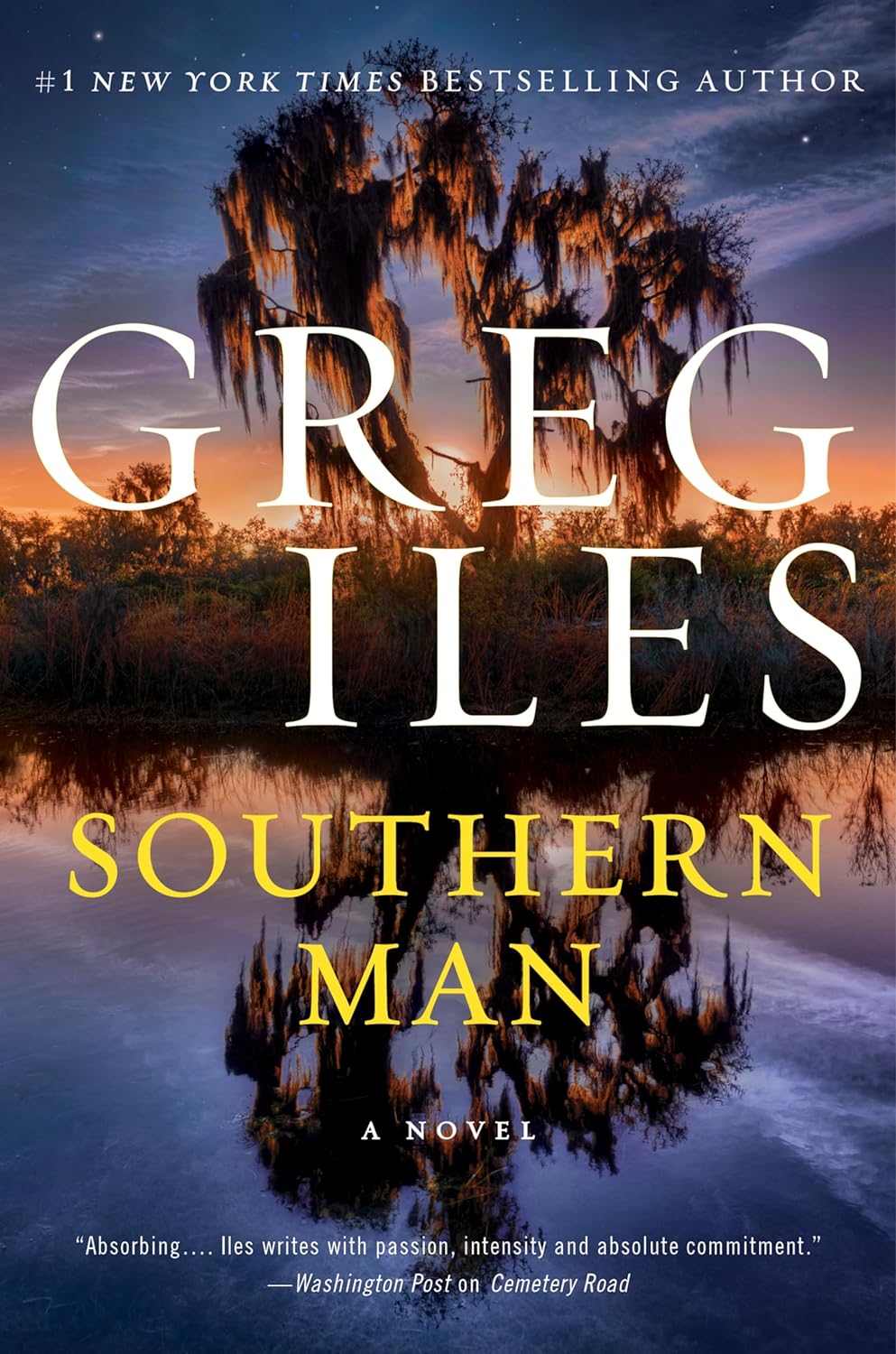 Southern Man by Greg Iles, ISBN 9780062824691