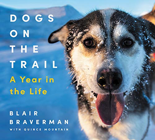 Dogs On The Trail: A Year In The Life