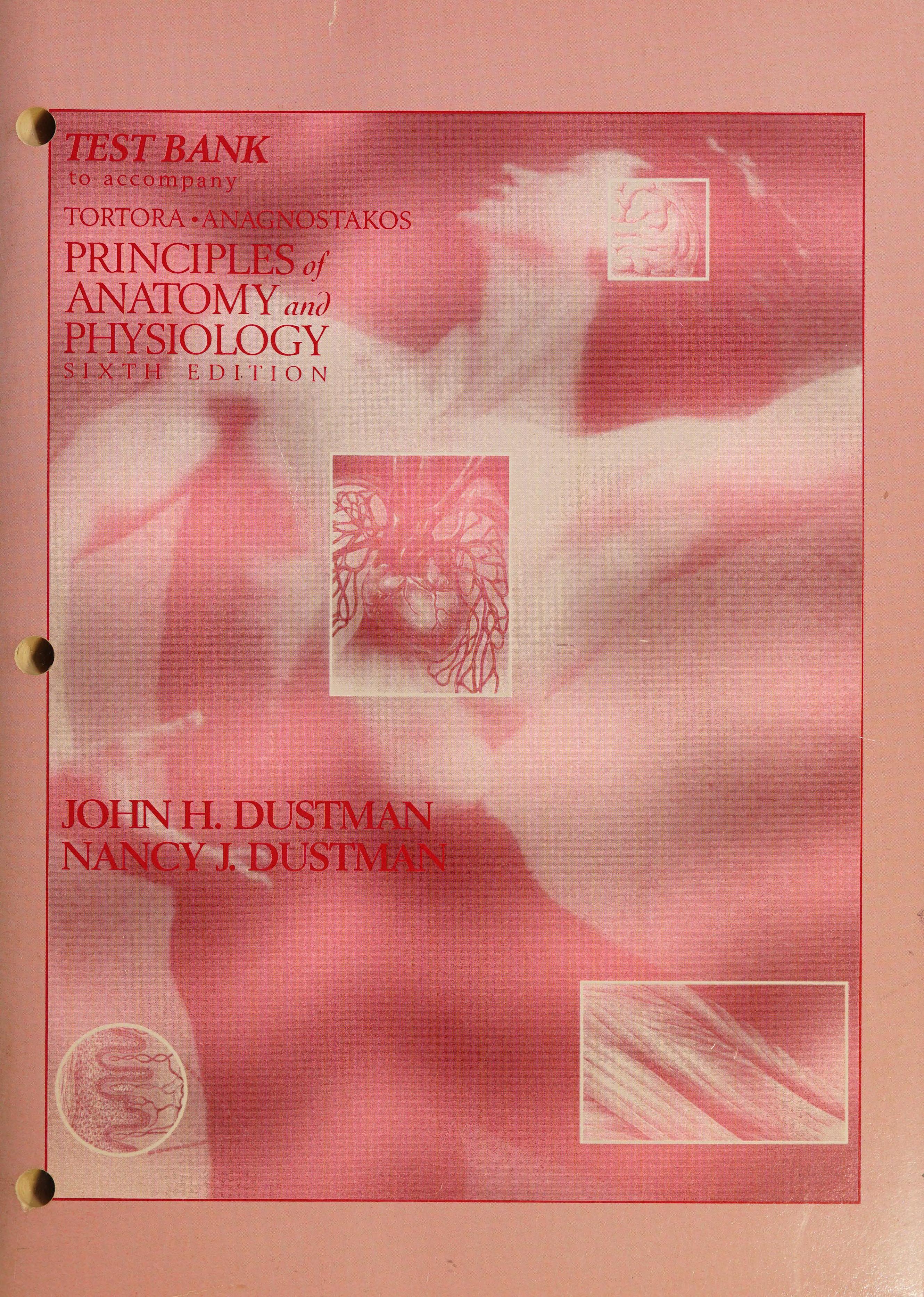 Anatomy Physiology 6e Test Bank