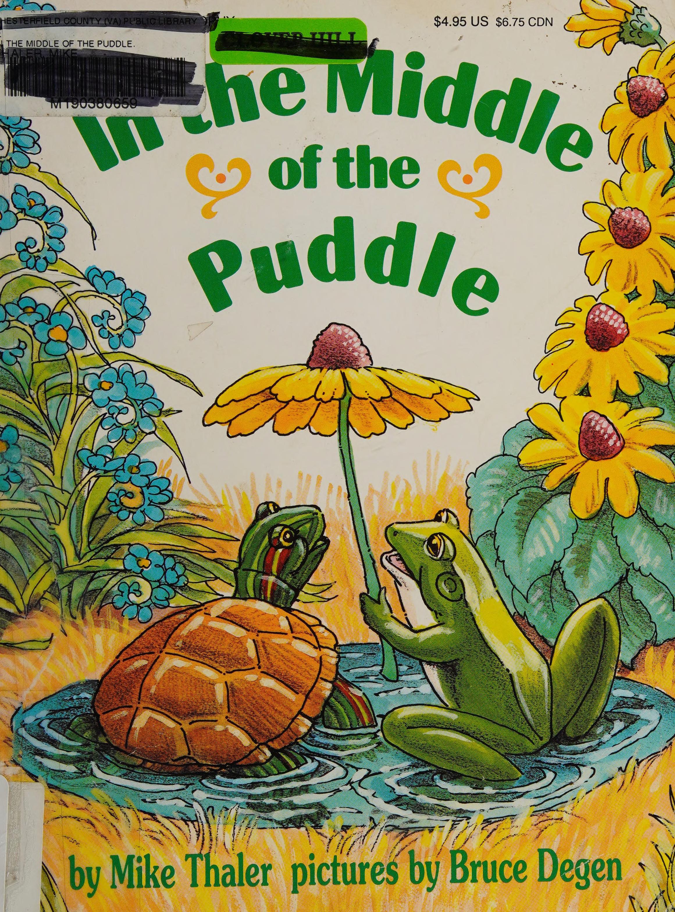 In the Middle of the Puddle