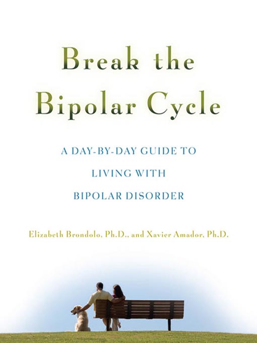 Break The Bipolar Cycle: A Day By Day Guide To Living With Bipolar Disorder