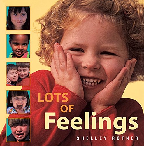 Lot's of Feelings Big Book