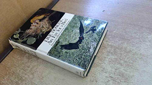 Eye for a Bird: Autobiography of a Bird Photographer
