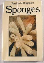 Sponges