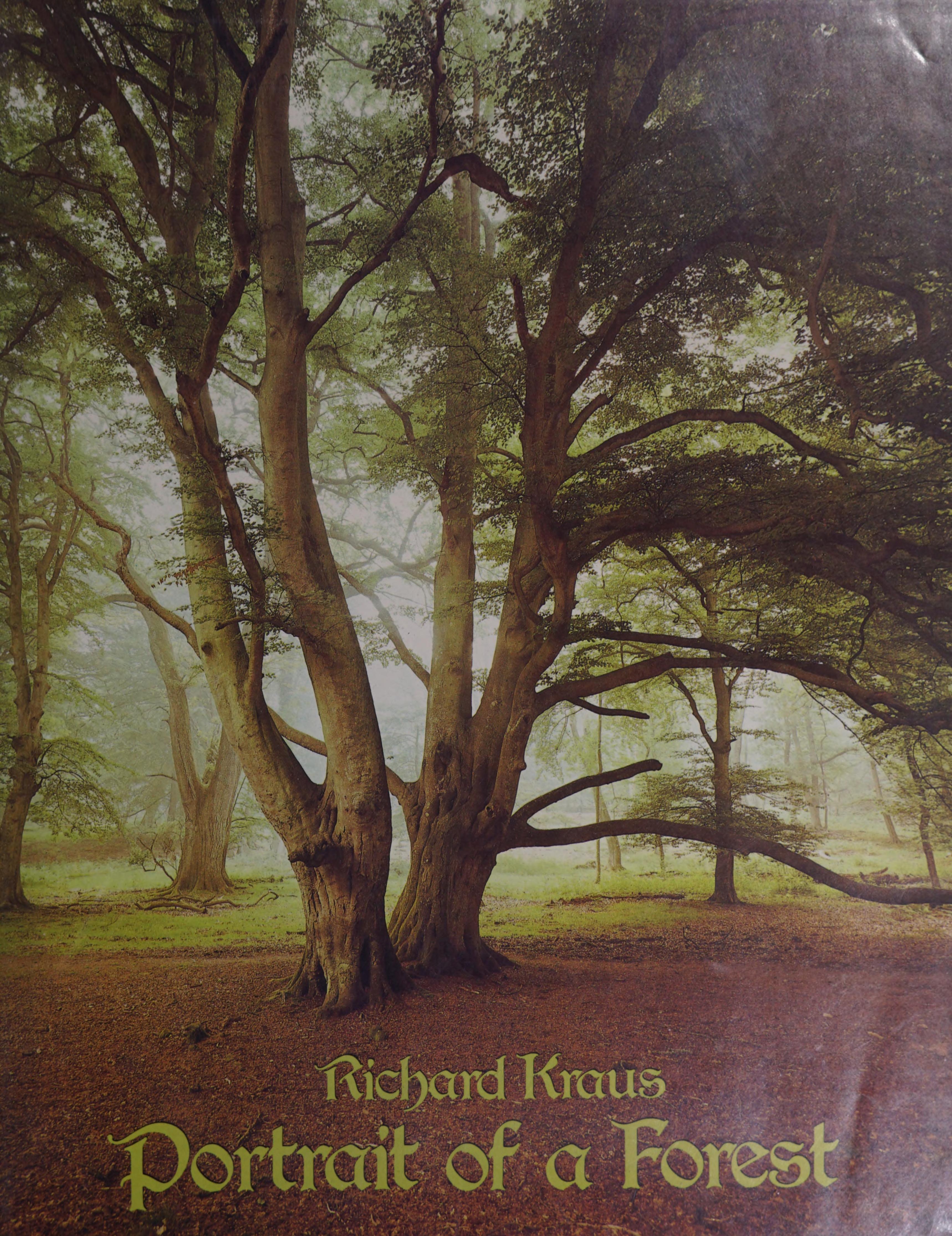 Portrait of a Forest: A Photographic Study of the New Forest