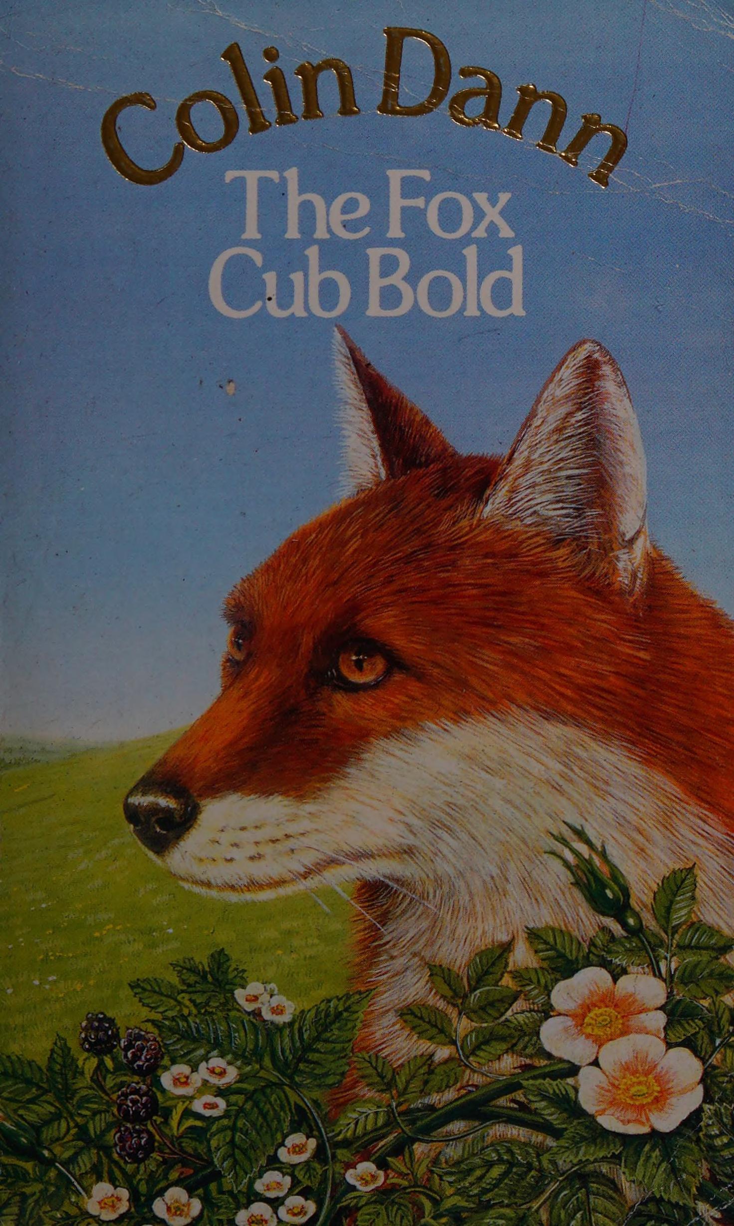 The Fox Cub Bold