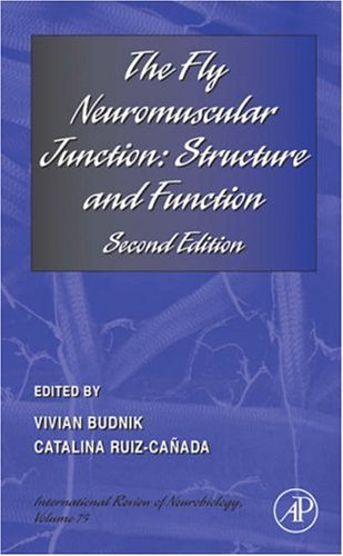 The Fly Neuromuscular Junction