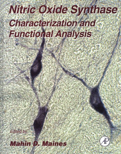 Nitric Oxide Synthase
