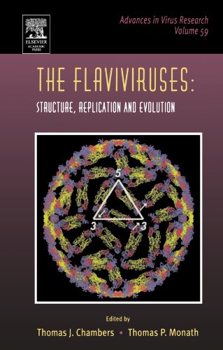 The Flaviviruses