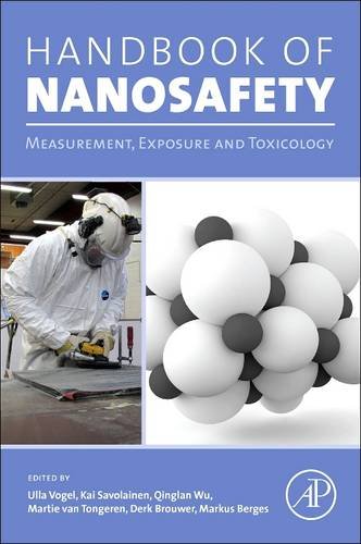 Handbook Of Nanosafety: Measurement, Exposure And Toxicology