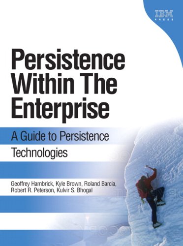 Persistence in the Enterprise