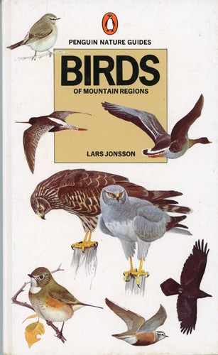 Birds Of Mountain Regions