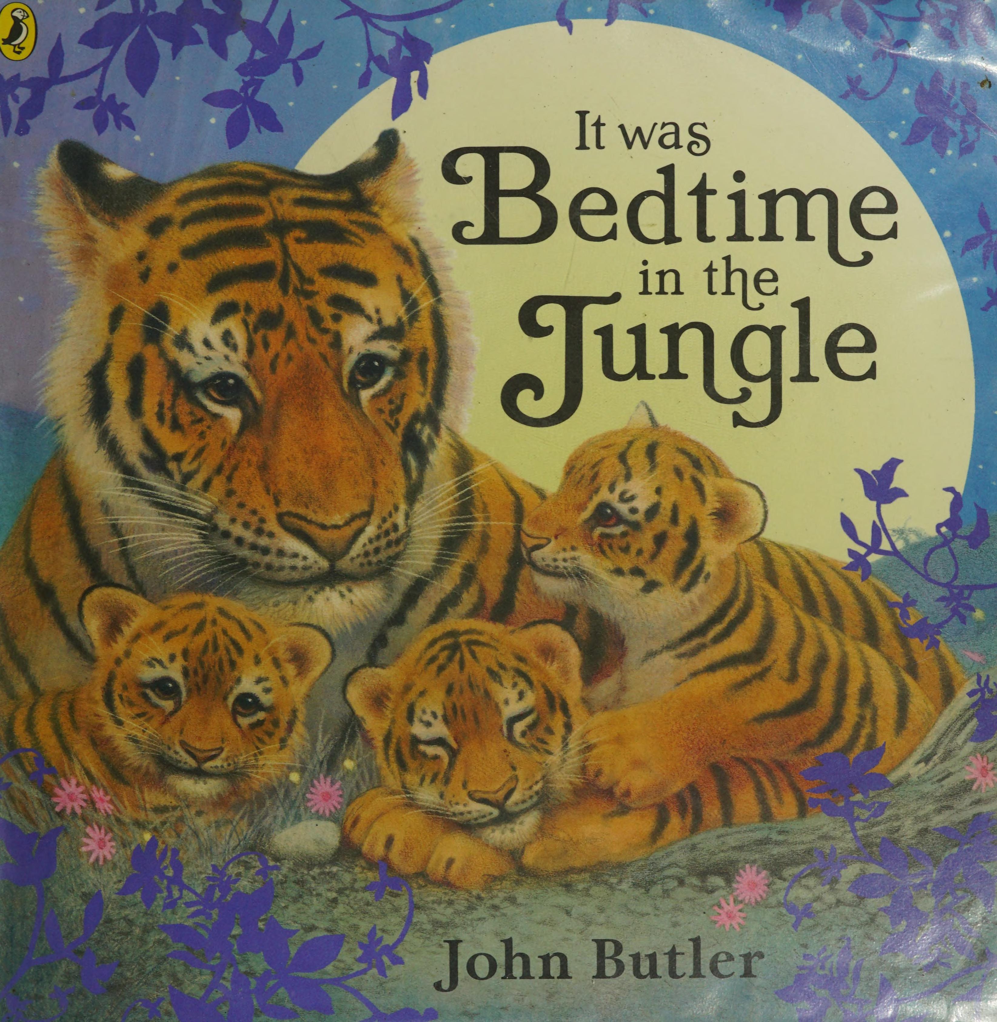 It was bedtime in the jungle