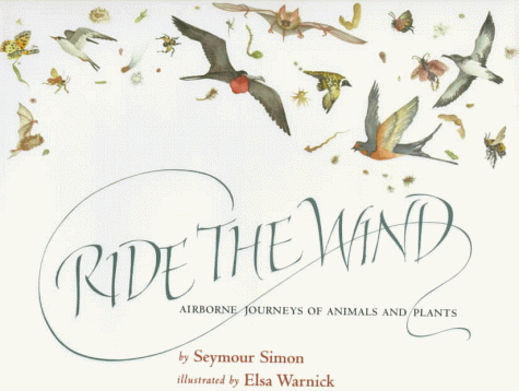 Ride the Wind