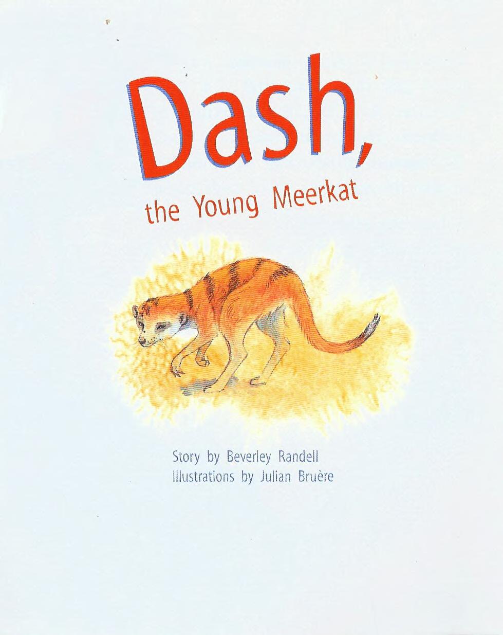 PM Plus Gold L21 Dash the Youn