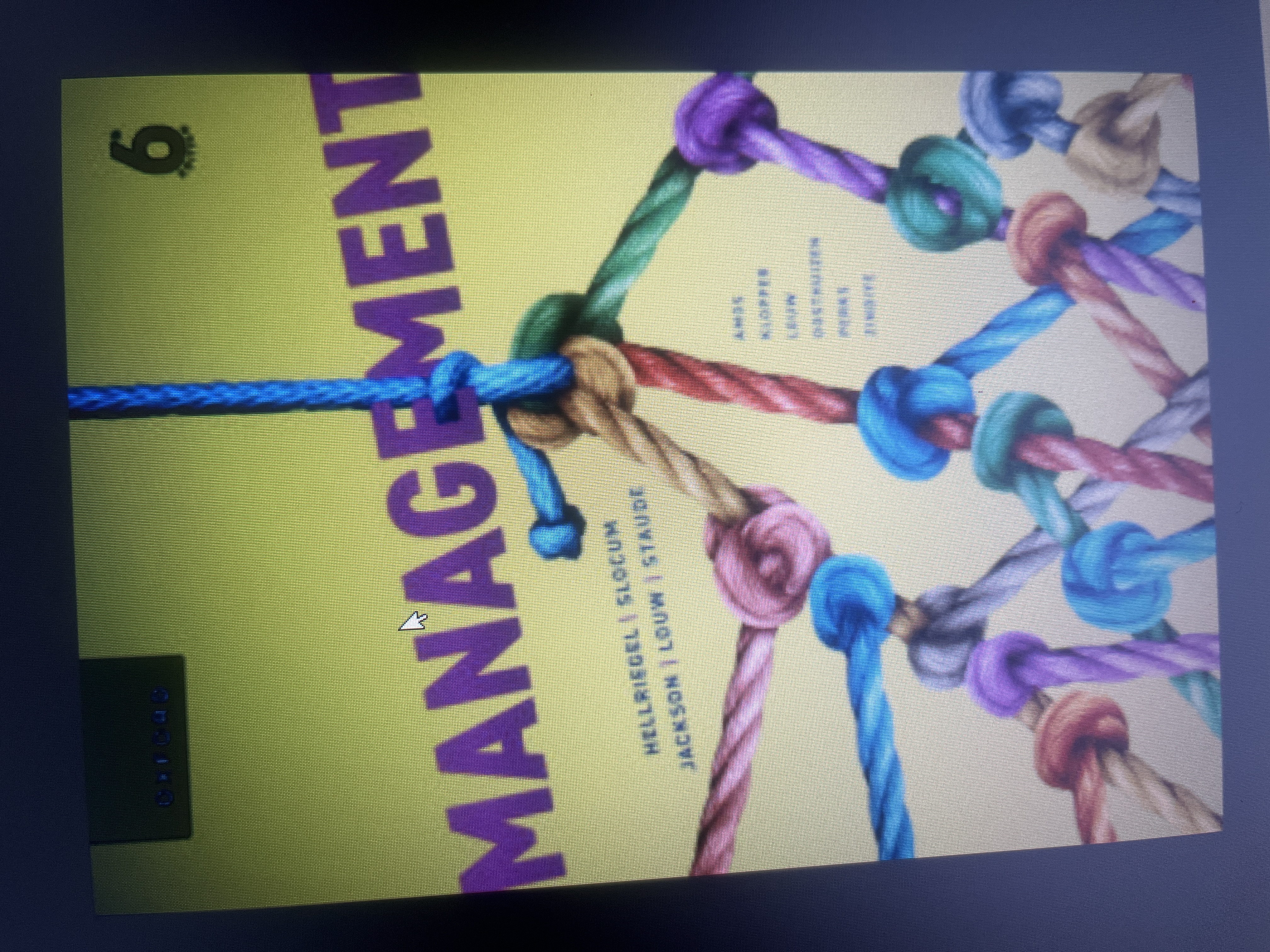Management