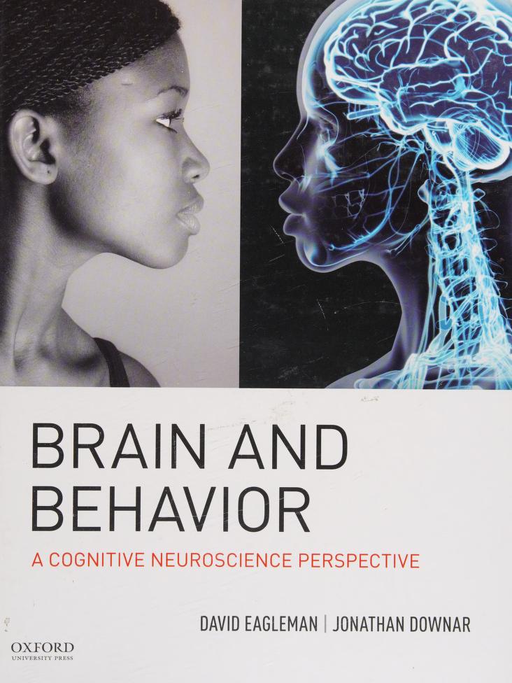 Brain and Behavior
