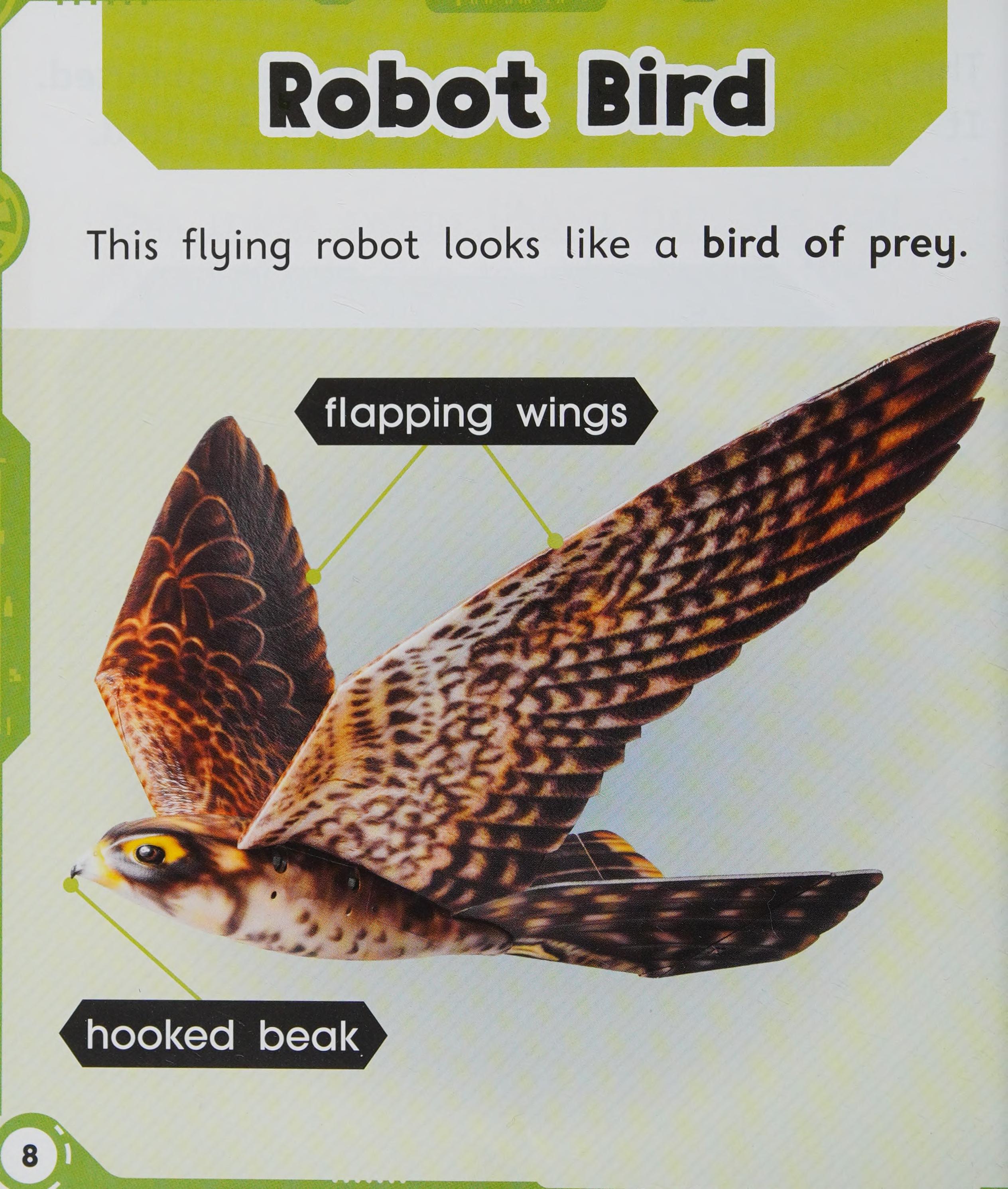 Oxford Reading Tree Infact: Oxford Level 5: Robot Zoo