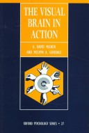 The visual brain in action