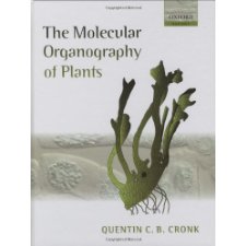 The Molecular Organography Of Plants