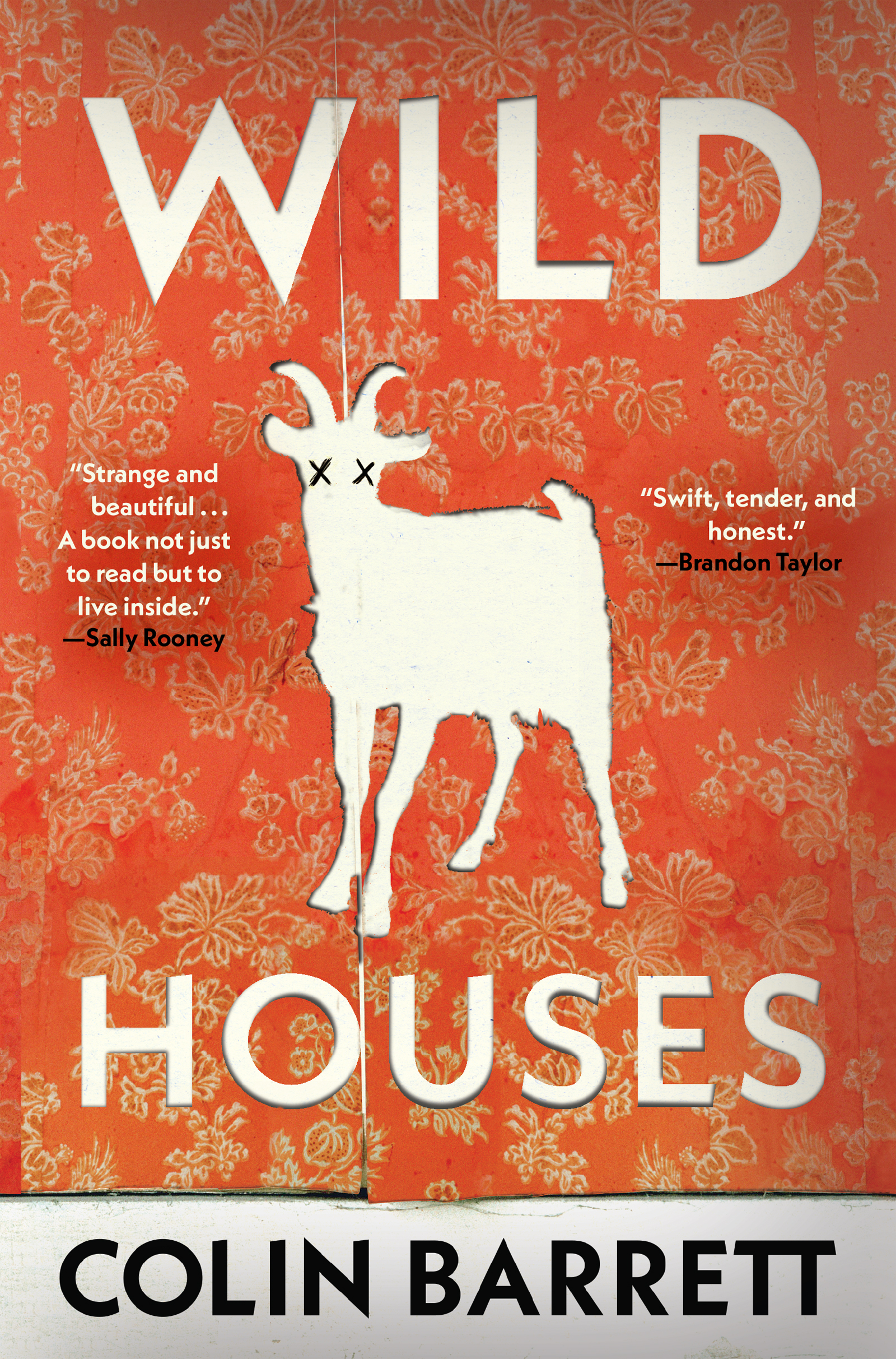 Wild Houses by Colin Barrett - Undifferentiated, ISBN 9780224101660