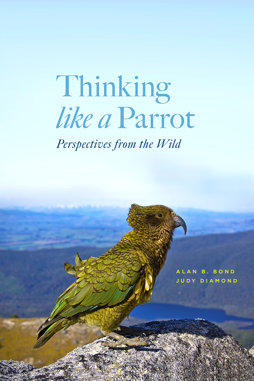 Thinking Like A Parrot: Perspectives From The Wild