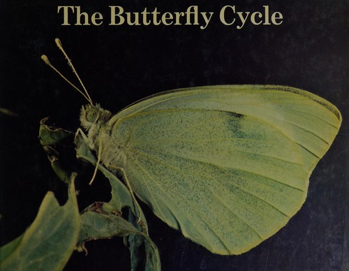 The Butterfly Cycle