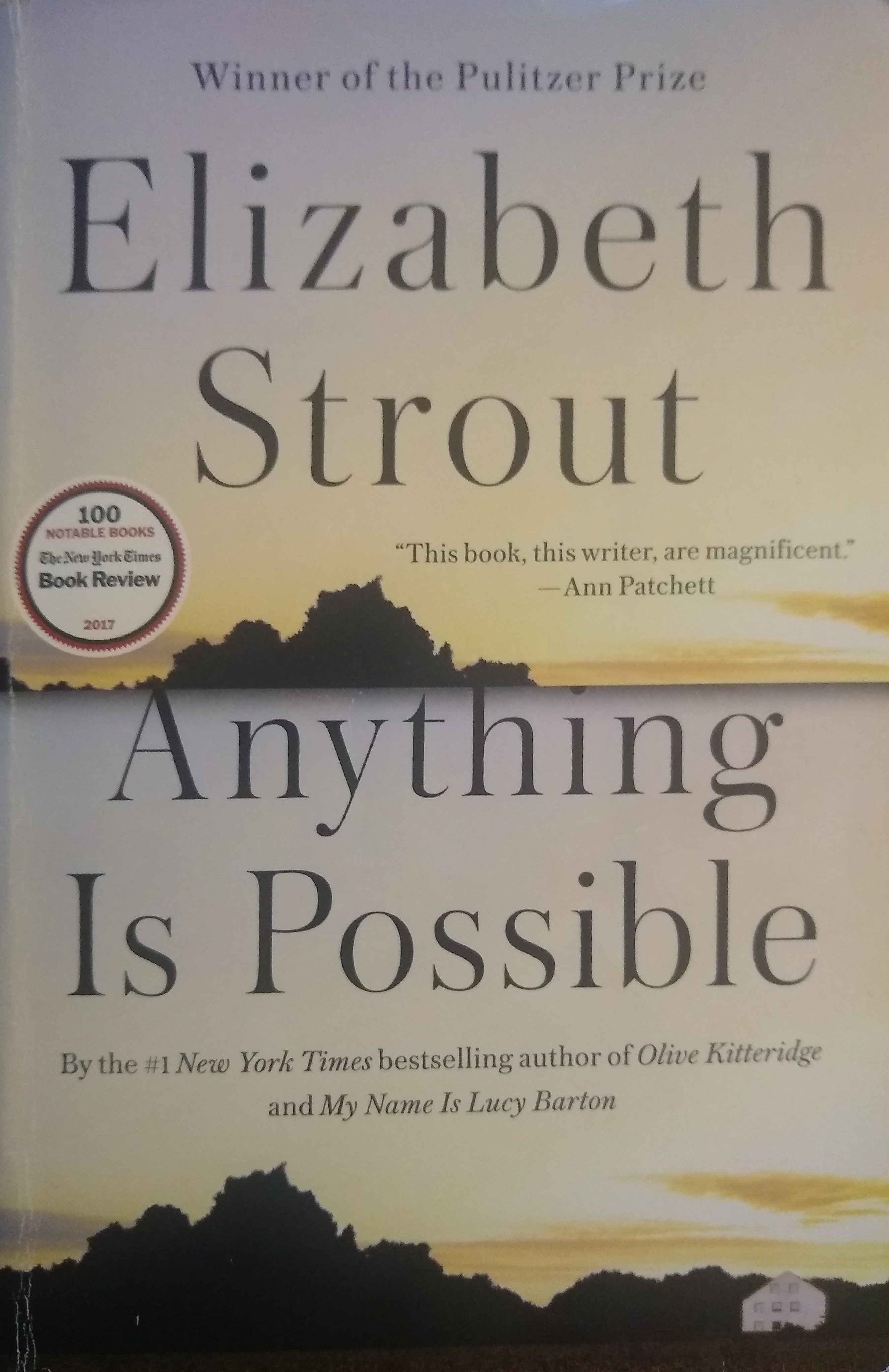 Anything Is Possible by Elizabeth Strout, ISBN 9780241248799
