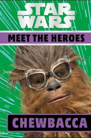 Meet the Heroes