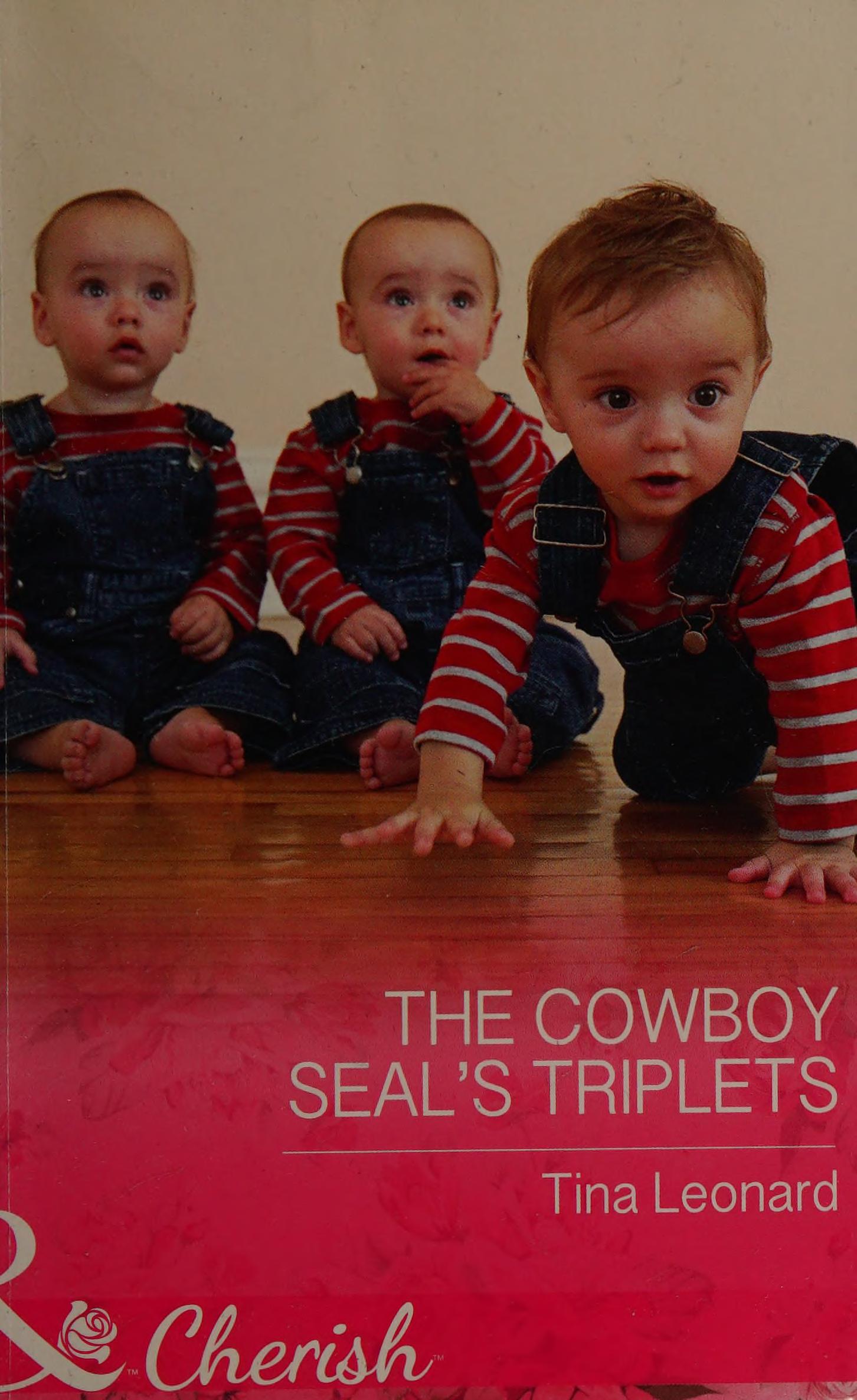 The cowboy SEAL's triplets