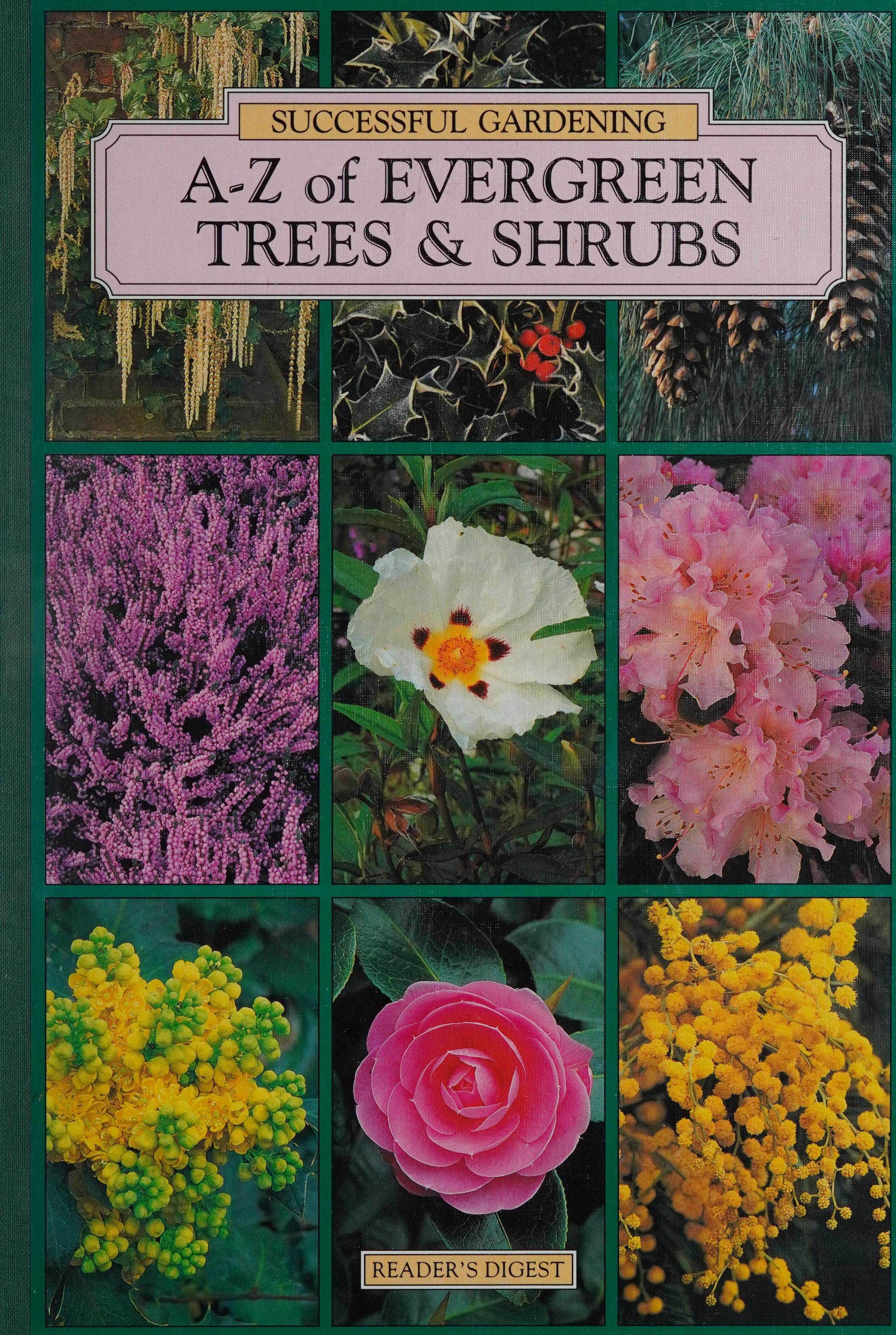 A-Z of Evergreen Trees & Shrubs