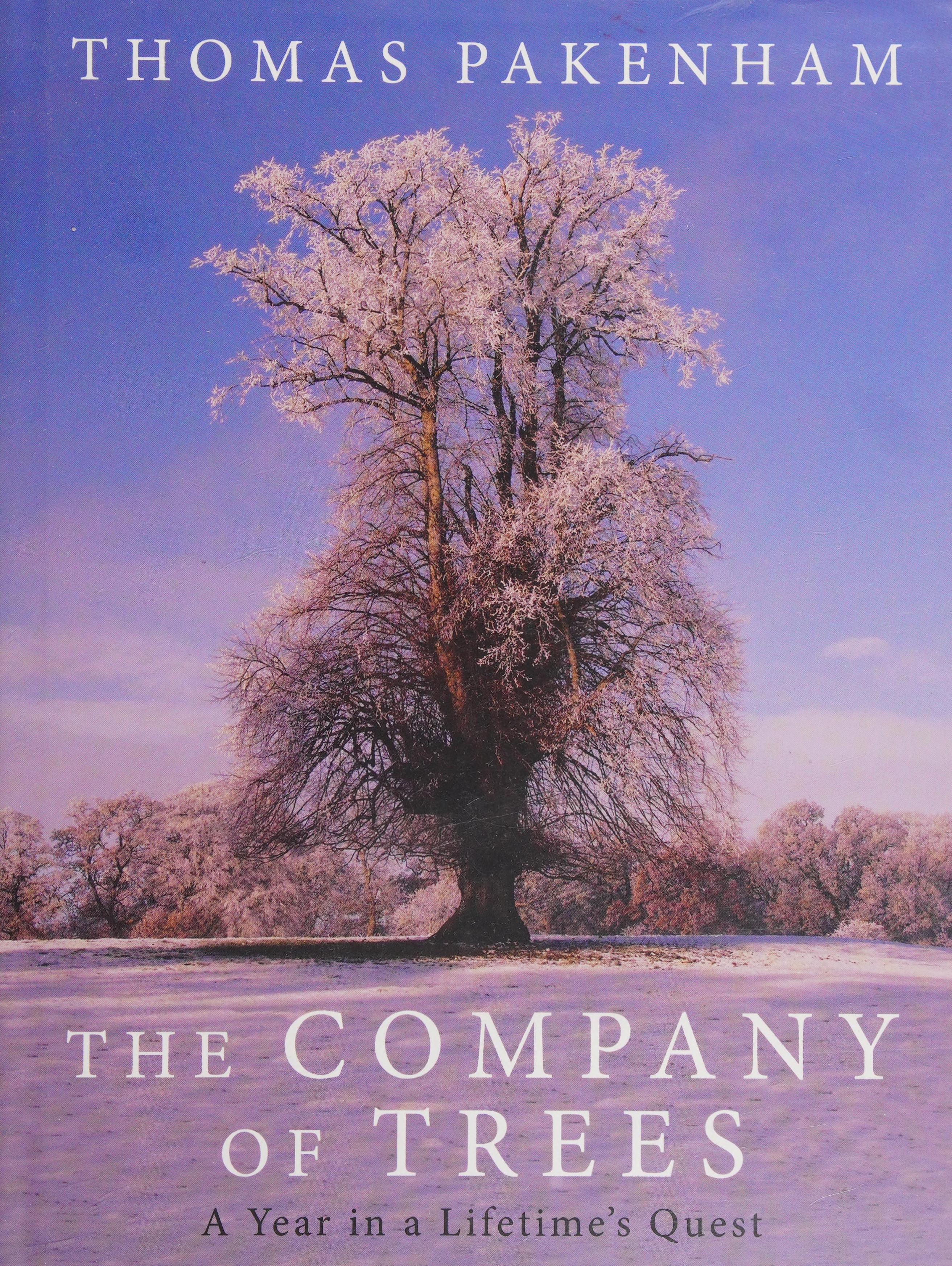 The Company Of Trees