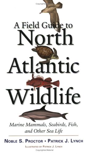 A Field Guide to North Atlantic Wildlife: Marine Mammals, Seabirds, Fish, and Other Sea Life