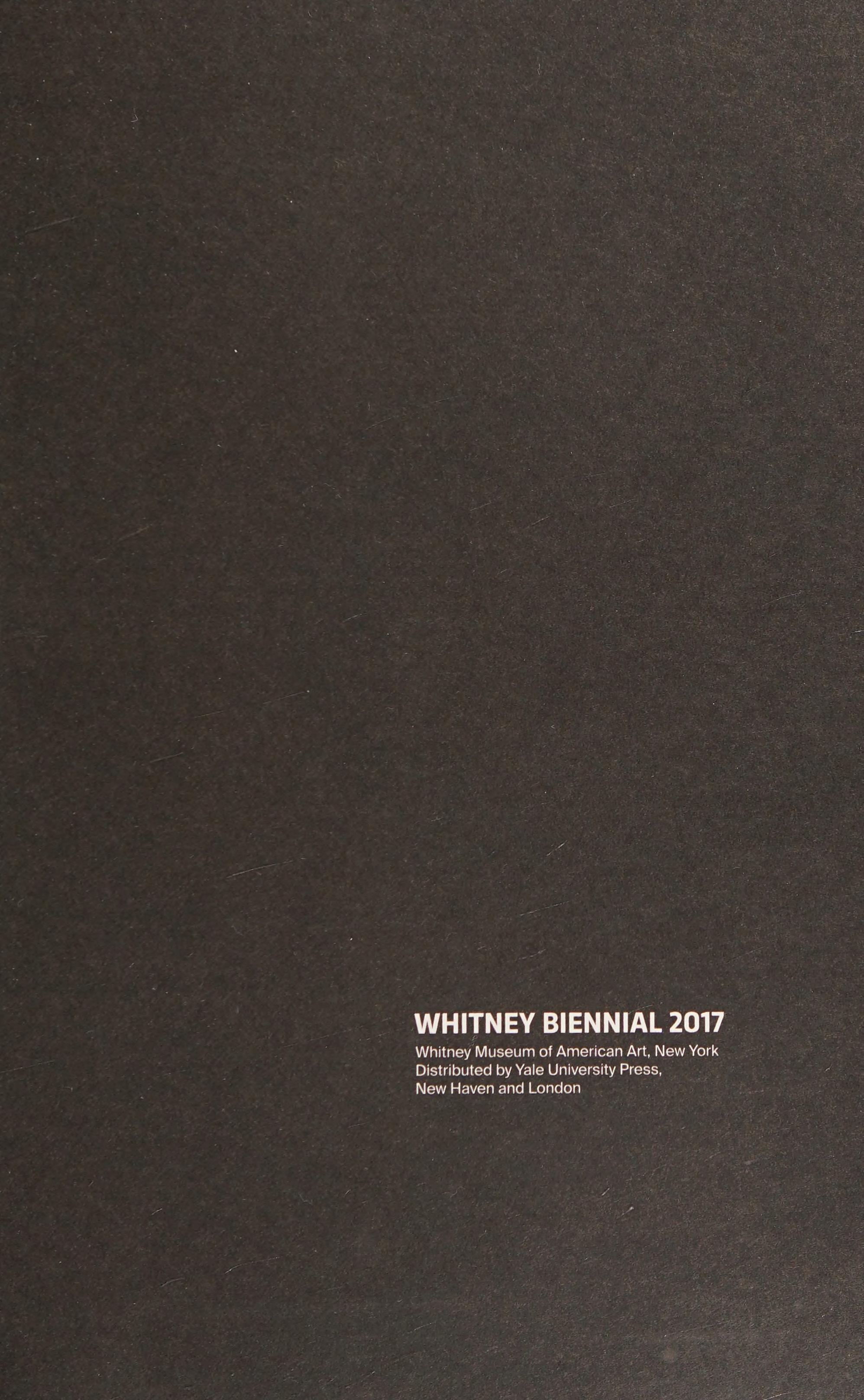 Whitney Biennial 2017