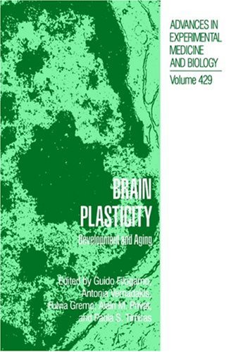 Brain Plasticity: Development And Aging